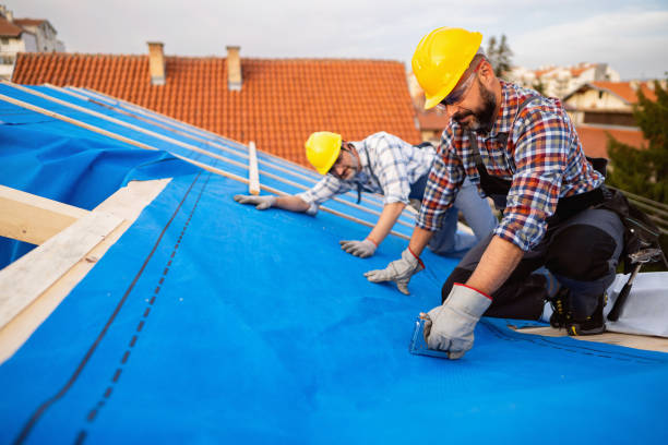 Best Roof Leak Repair  in La Cygne, KS