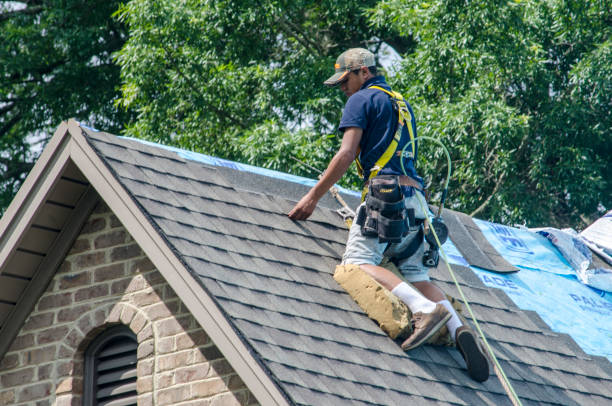 Best Roof Restoration Services  in La Cygne, KS